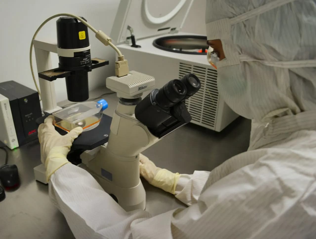 Donor Programmes & Fertility Preservation Centres