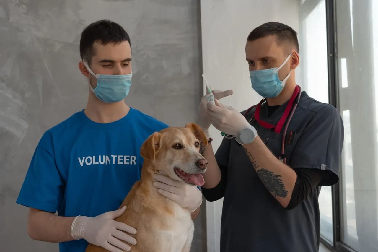Pet Wellness & Preventive Care Clinics