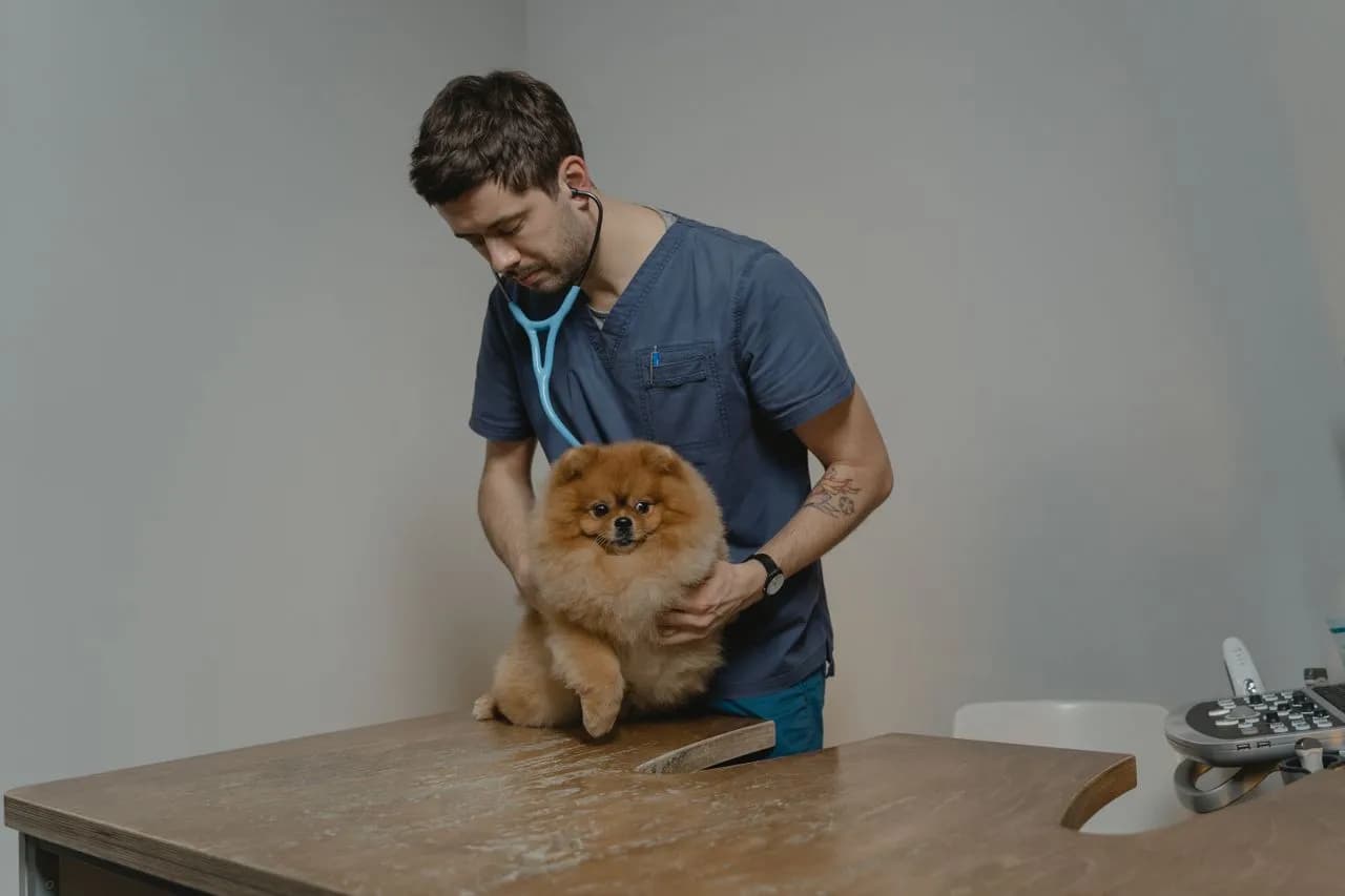Veterinary Practices